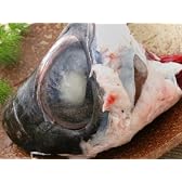 【三崎港】天然メバチまぐろ 目玉300g