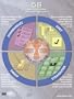 5S Lean Manufacturing Workplace Organization Poster