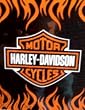 The Northwest 070002 Harley Davidson Logo 50 X 60 Inch Blanket
