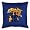 Kentucky Wildcats Sideline Pillow (22x22) NCAA