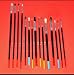 Artist's Brush Set