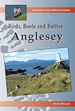 Birds, boots and butties. Anglesey
