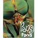 Bug Faces