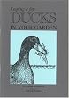 Keeping a Few Ducks in Your Garden