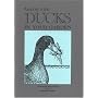 Keeping a Few Ducks in Your Garden