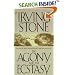 The Agony and the Ecstasy: A Biographical Novel of Michelangelo