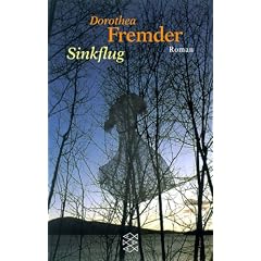 Sinkflug