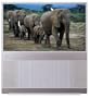 Zenith R40W46 40-Inch HDTV-Ready Projection TV (Silver)