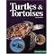 Books about Turtles