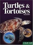 Turtles and Tortoises