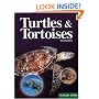 Turtles and Tortoises