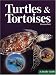 Turtles and Tortoises