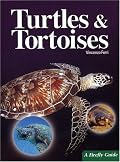 Turtles and Tortoises