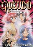 Gokudo: Witches Extraordinaire, Vol. 4