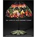 The Lamps of Louis Comfort Tiffany