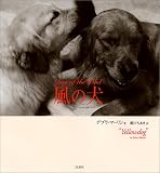 風の犬 画像