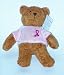 Mini Bean Bag Pink Ribbon Teddy Bear