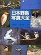 日本野鳥사진大全