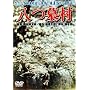 ���摺 [DVD]