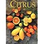 Citrus: Complete Guide to Selecting & Growing More Than 100 Varieties for California, Arizona, Texas, the Gulf Coast and Florida