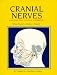 Book Cranial Nerves: Anatomy and Clinical Comments