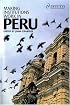 Making Institutions Work in Peru: Democracy, Development And Inequality Since 1980