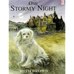 One Stormy Night (Red Fox picture books)