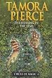 The Healing of the Vine (Circle of Magic)