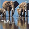 Wildlife Photographer of the Year: Portfolio 12