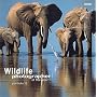 Wildlife Photographer of the Year Portfolio 12 (Wildlife Photographer Annual, 12)