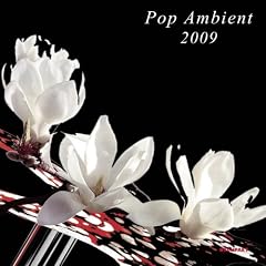 Pop Ambient 2009 [Vinyl LP]
