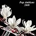 Pop Ambient 2009 [Vinyl LP]