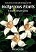 Creative Gardening With Indigenous Plants