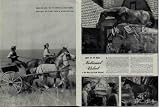 1945 LIFE Magazine Movie of the Week Article, 