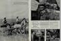 1945 LIFE Magazine Movie of the Week Article, "NATIONAL VELVET," The novel was made into a faithful, highly successful film version in 1944, starring twelve-year-old Elizabeth Taylor and Mickey Rooney. A3210A **THIS IS AN AD / POSTER, NOT A DVD**