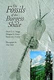 The Fossils Of The Burgess Shale