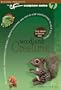 Woodland Creatures: Tips, Techniques, Inspirational Ramblings, Creative Nudgings and Step-By-Step Instructions to Help You Create (CF Sculpture)