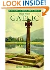 Beginner's Gaelic (Hippocrene Beginners Language Series)