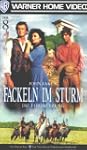 Fackeln im Sturm - Teil 8 [VHS]