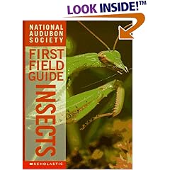 Insects: Insects (Audubon Guides)