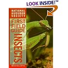Insects: Insects (Audubon Guides) by Christina Wilsdon