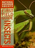 Insects: Insects (Audubon Guides)