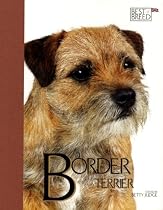 Border Terrier (Best of Breed)