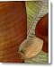 Banana Composition III Canvas Print / Canvas Art - Artist Ben and Raisa Gertsberg