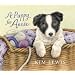 A Puppy for Annie