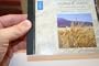 Russian New Testament Mp3 Novi Zavet Original (Mp3 Cd)