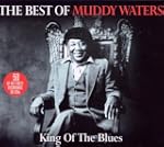The Best Of Muddy Waters