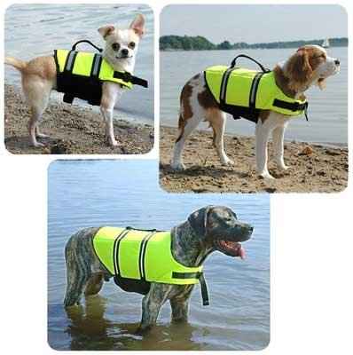 Paws Aboard Yellow Life Vest - Small - 12 to 20 Pounds