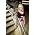 Miniaturansicht von Dolly Parton