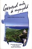 Gwneud môr a mynydd : [casgliad o ryddiaith newydd gan dri llenor ifanc]